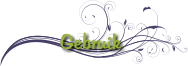 Gebruik