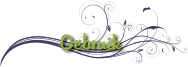 Gebruik