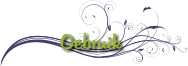 Gebruik