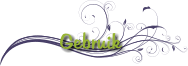 Gebruik