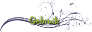 Gebruik