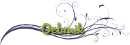 Gebruik