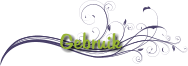 Gebruik