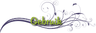 Gebruik