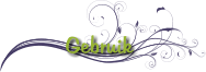 Gebruik