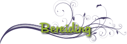 Bereiding