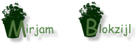 irjam lokzijl M B