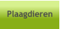 Plaagdieren