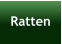 Ratten