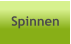 Spinnen