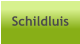 Schildluis
