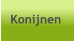 Konijnen